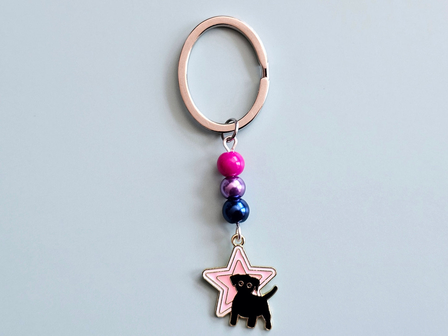 Bisexual Pride Keychain Cat Keyring Dog Key Fob LGBTQ+ Pride Star Keychain